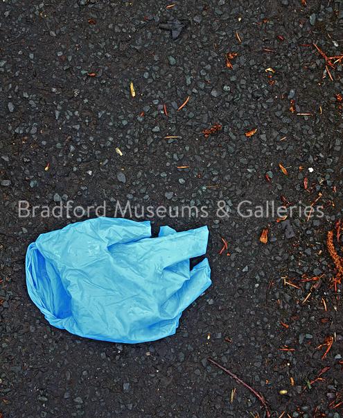 Discarded Glove