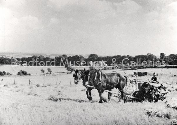 Horse-drawn farm machinery, Tadcaster
