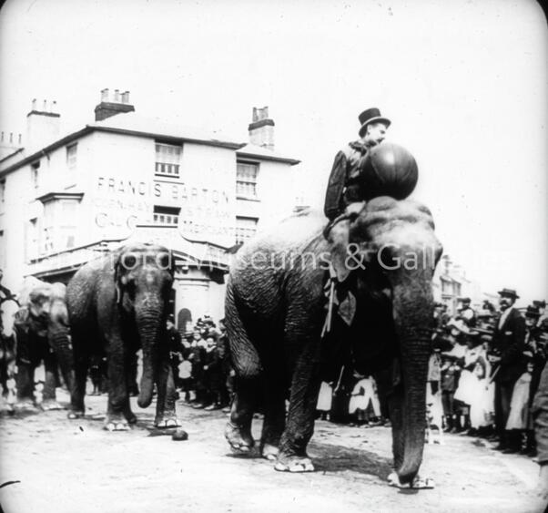 Sanger's Circus Elephants